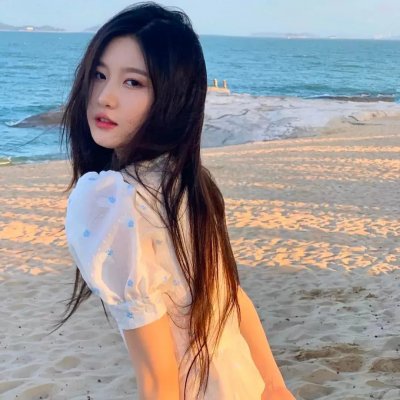 海龟故事